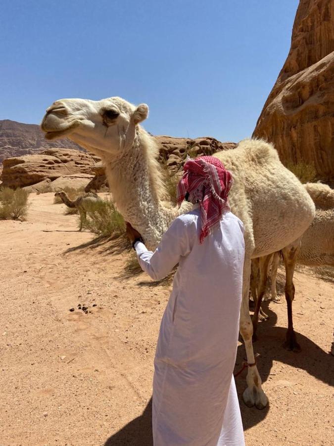 Hotel Wadi Rum Pyramids Camp Extérieur photo