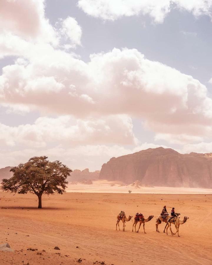 Hotel Wadi Rum Pyramids Camp Extérieur photo